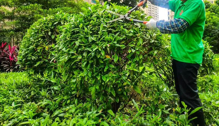 如何将绿化景观色设计应用于建筑物的外立面？