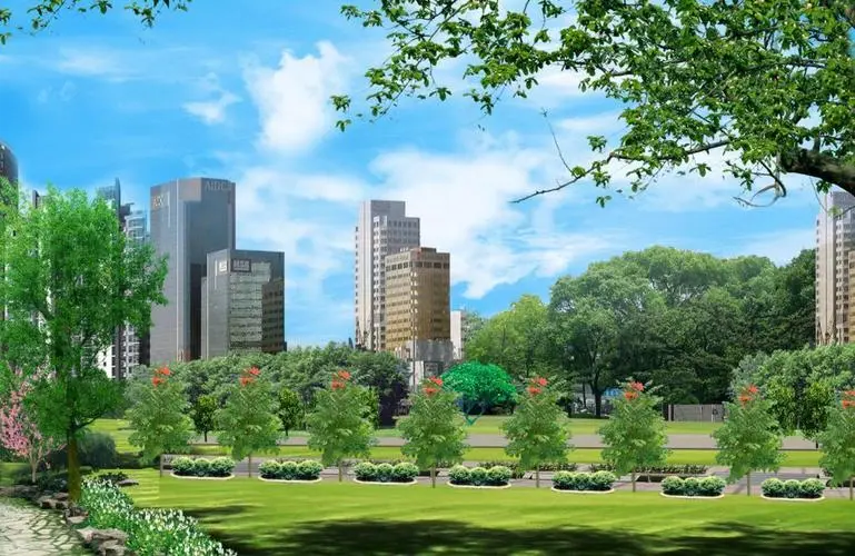 合肥城市绿化带一般用什么树