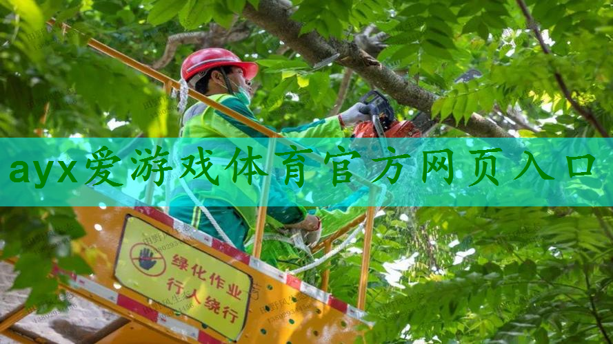 市园林管理问题：绿地缺乏统一规划与维护导致荒芜现象加剧